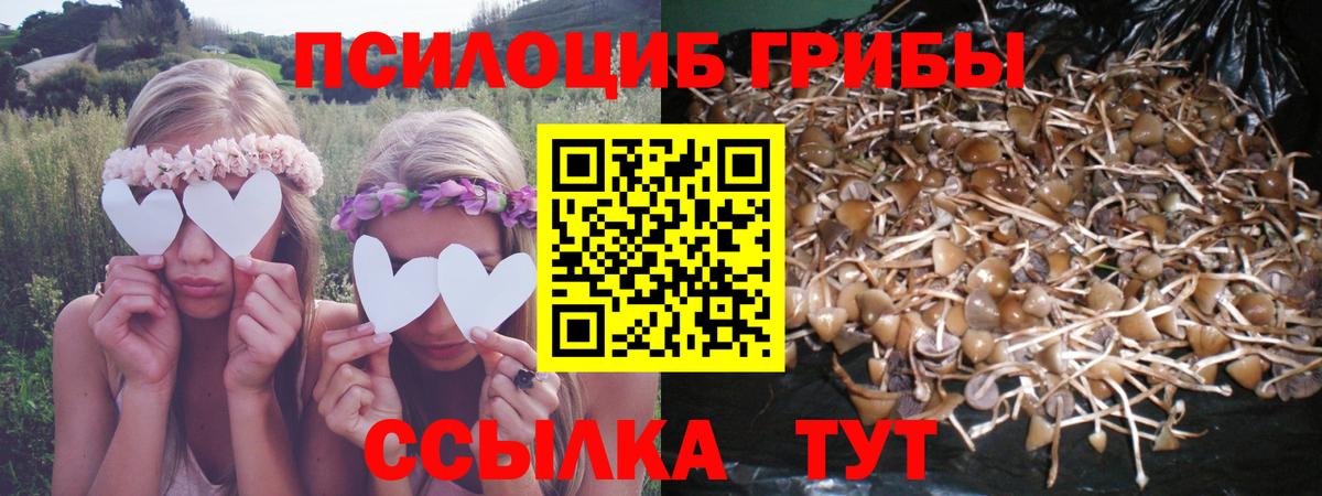 Галлюциногенные грибы Psilocybine cubensis  продажа наркотиков  Можга  Вход с VPN  Псилоцибиновые грибы Psilocybe 